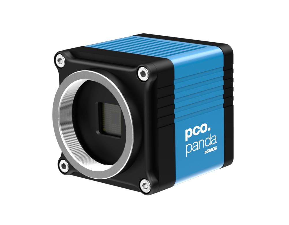 PCO Panda